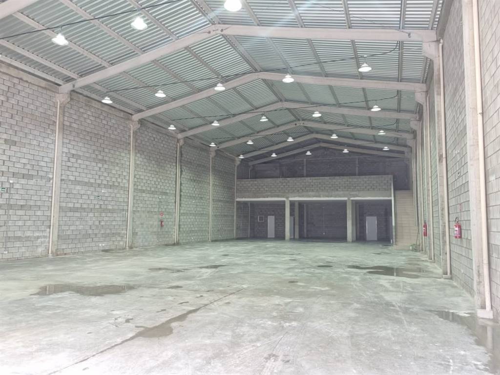 Sala-Conjunto, 475 m² - Foto 5