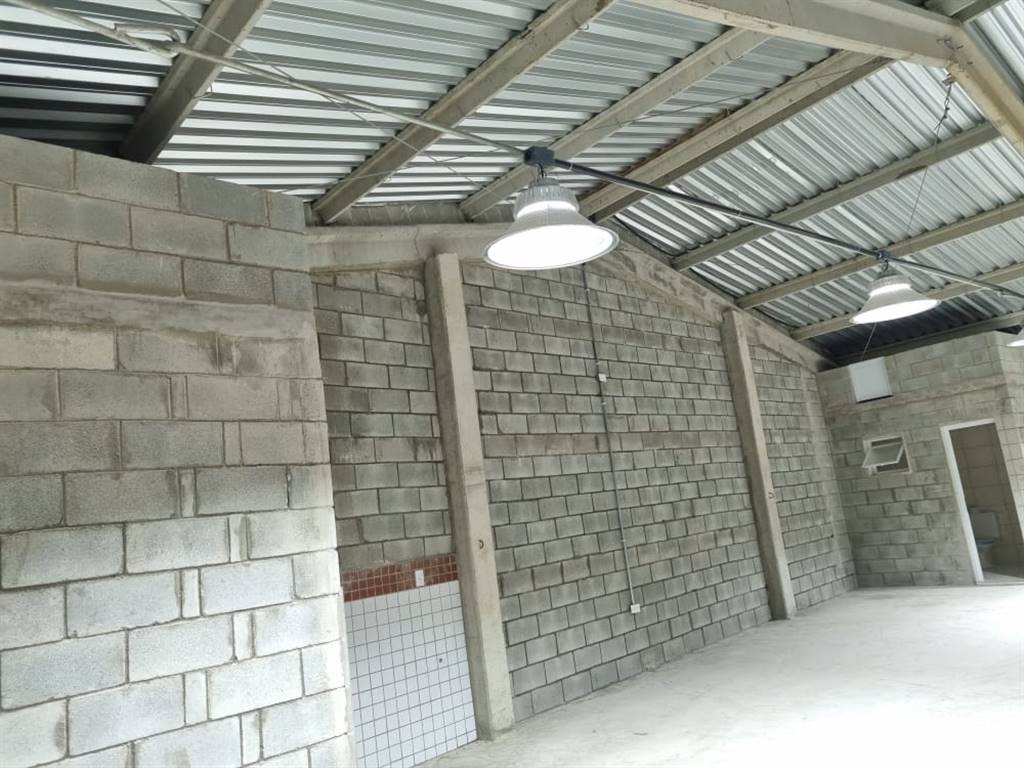 Sala-Conjunto, 475 m² - Foto 4