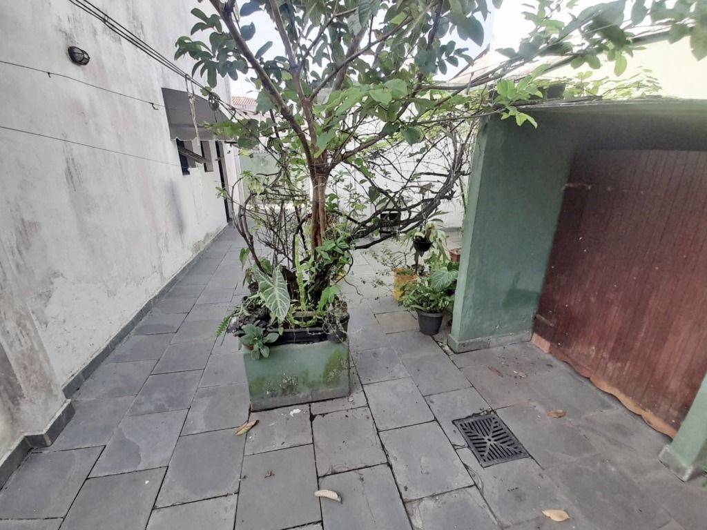 Casa, 3 quartos, 250 m² - Foto 24