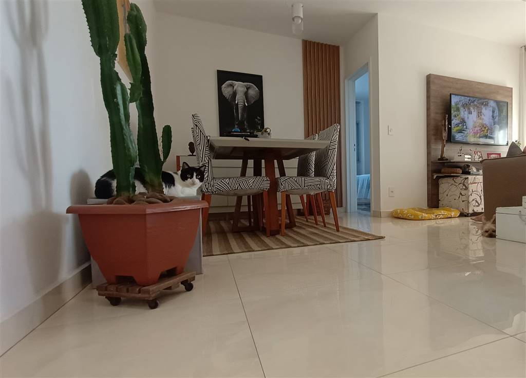 Apartamento, 1 quarto, 60 m² - Foto 5