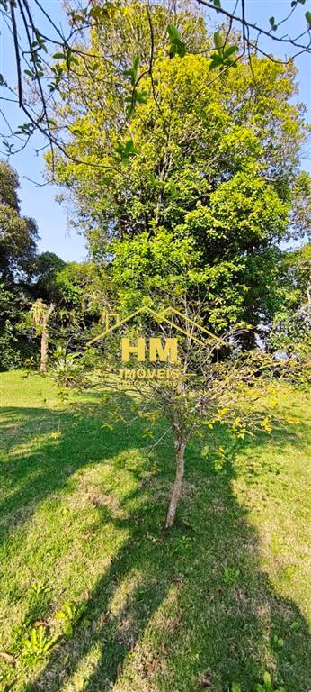 Sobrado, 4 quartos, 220 m² - Foto 4