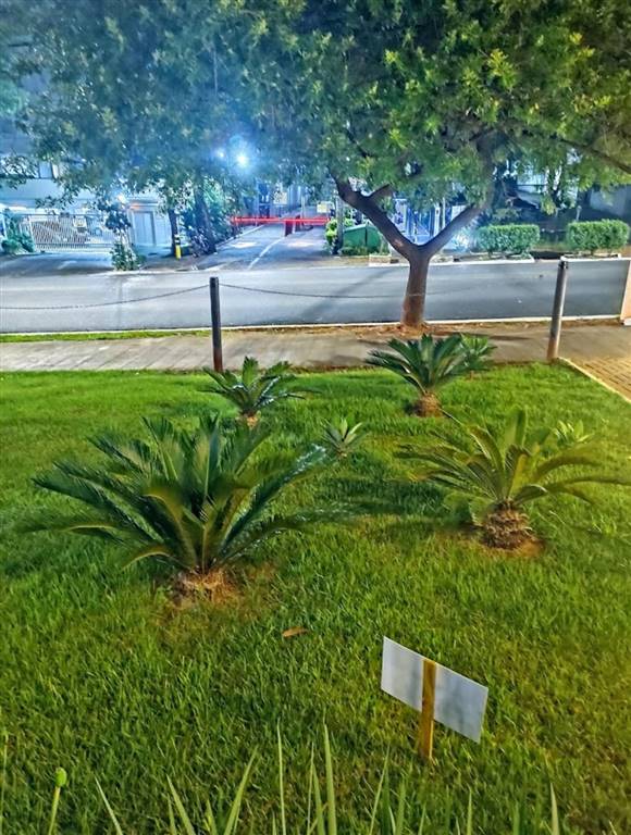 Apartamento à venda e aluguel com 2 quartos, 49m² - Foto 10