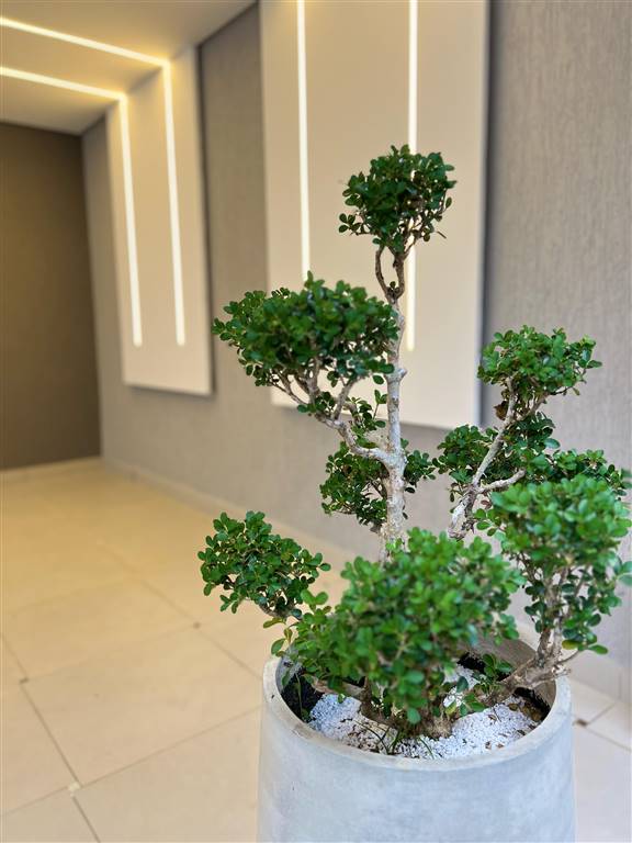 Casa, 2 quartos, 49 m² - Foto 26