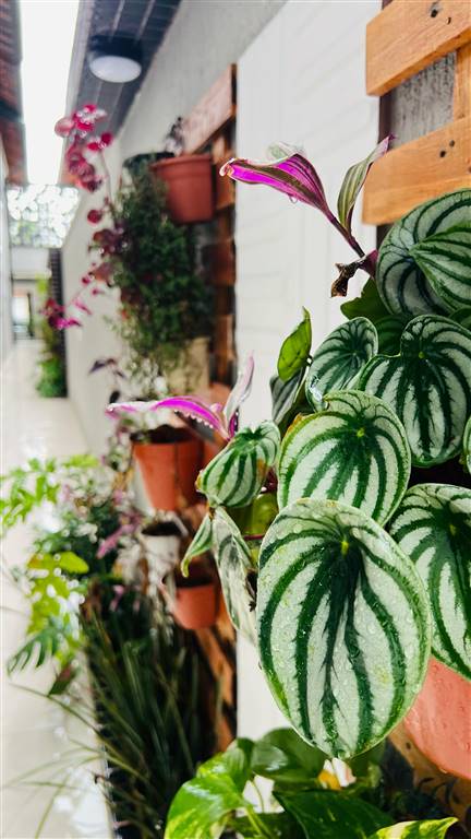 Casa de Condomínio, 2 quartos - Foto 14