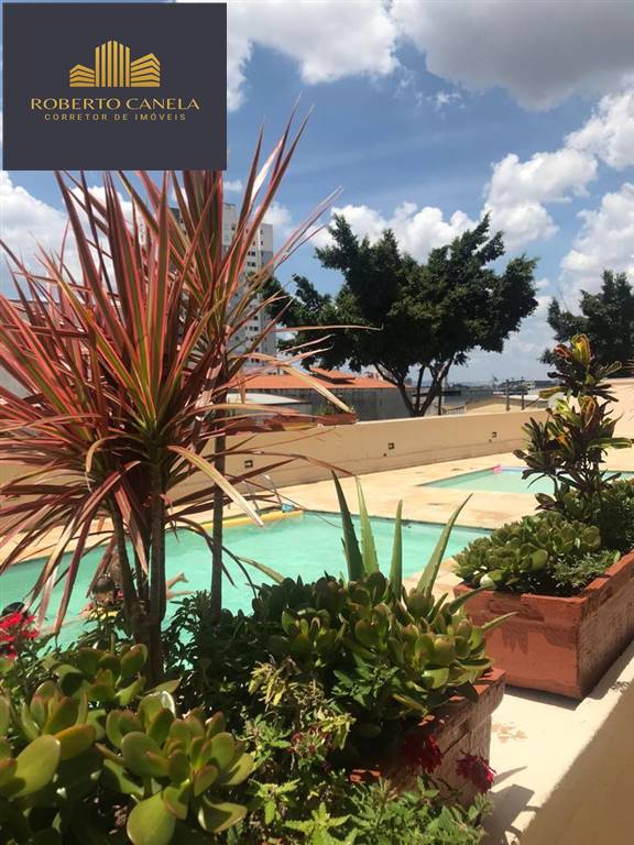 Apartamento, 3 quartos, 84 m² - Foto 28