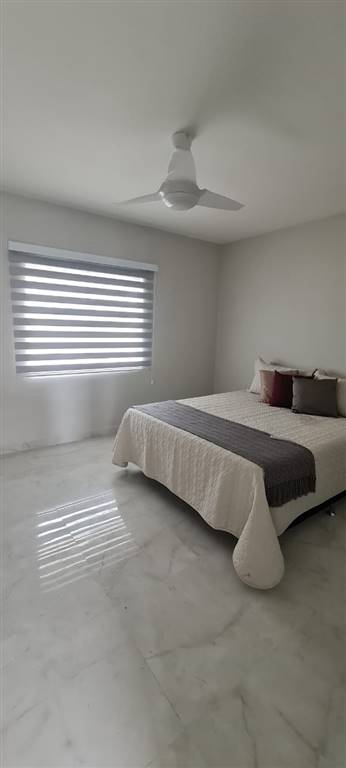 Casa, 5 quartos, 420 m² - Foto 12