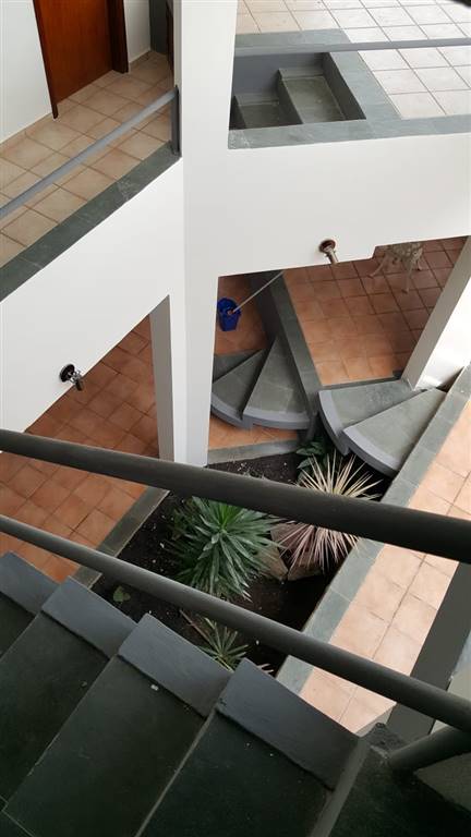 Casa, 5 quartos, 420 m² - Foto 19