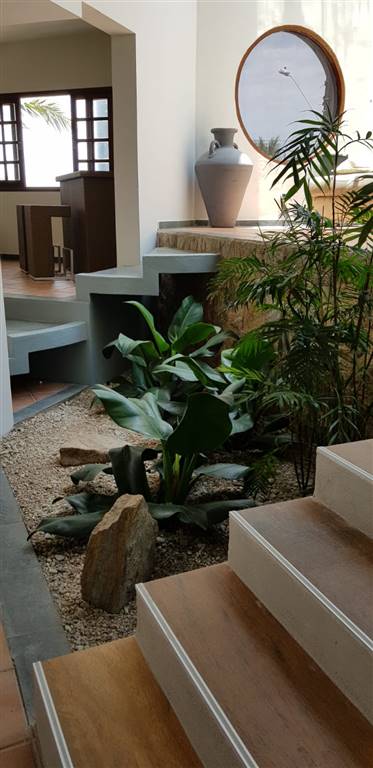 Casa, 5 quartos, 420 m² - Foto 24