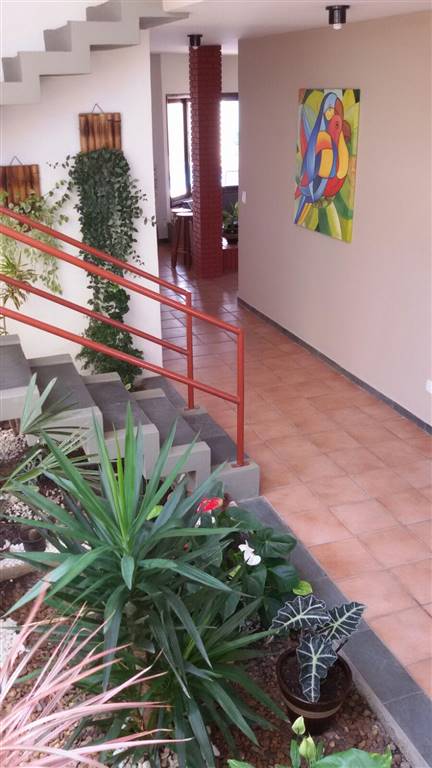 Casa, 5 quartos, 420 m² - Foto 28