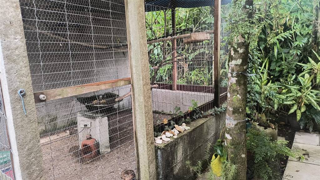 Casa, 3 quartos - Foto 28