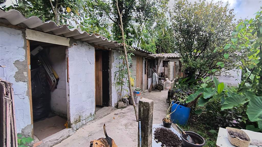 Casa, 3 quartos - Foto 23