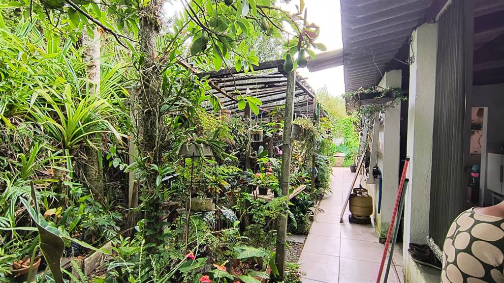 Casa, 3 quartos - Foto 25