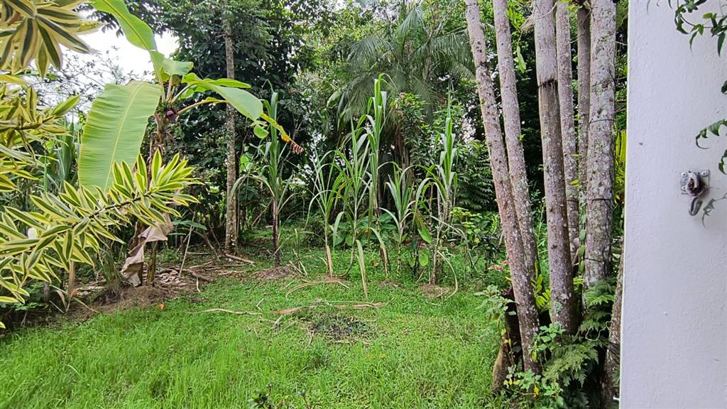 Casa, 3 quartos - Foto 21