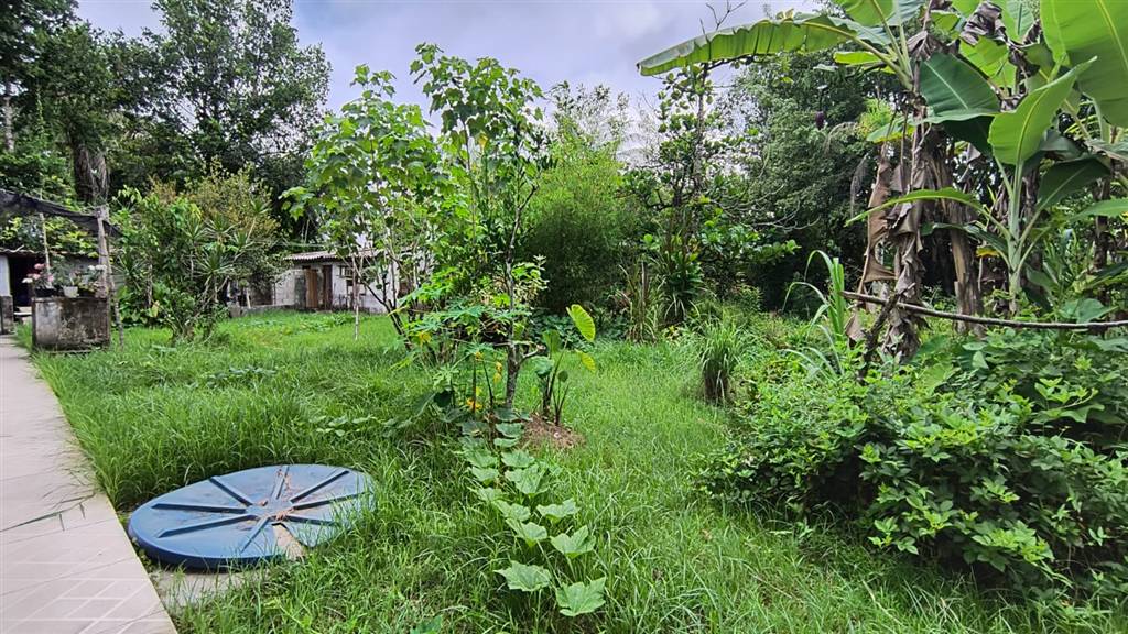 Casa, 3 quartos - Foto 22