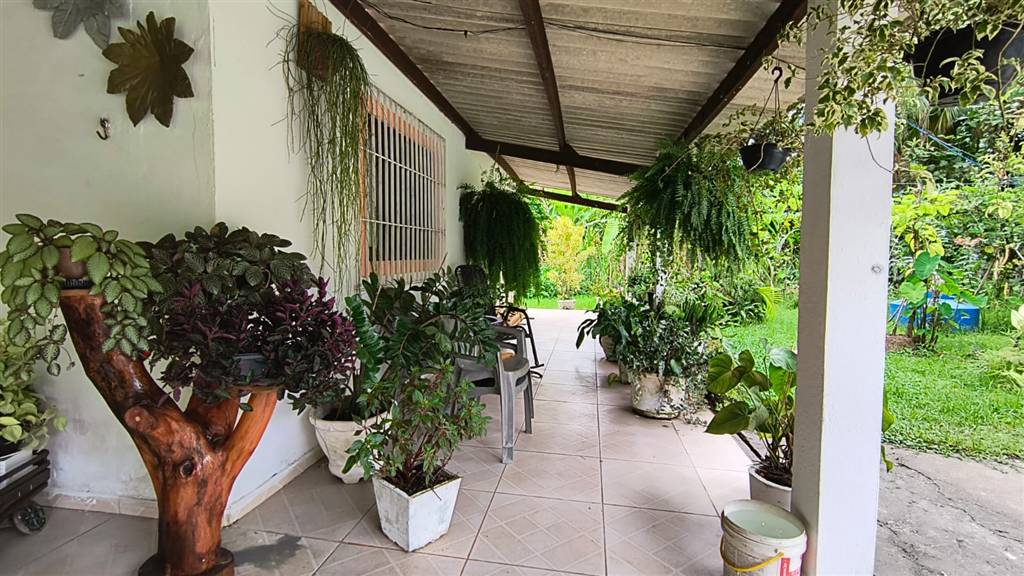 Casa, 3 quartos - Foto 20