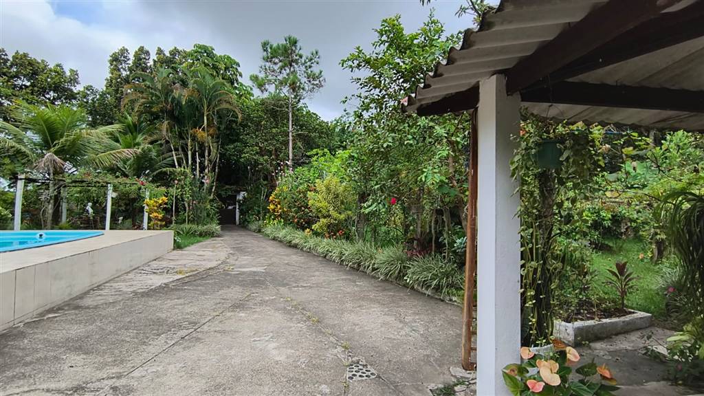 Casa, 3 quartos - Foto 18