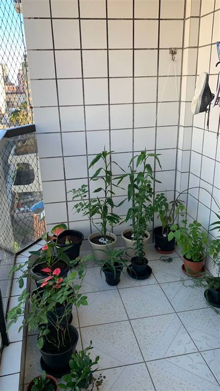 Apartamento, 3 quartos, 104 m² - Foto 10