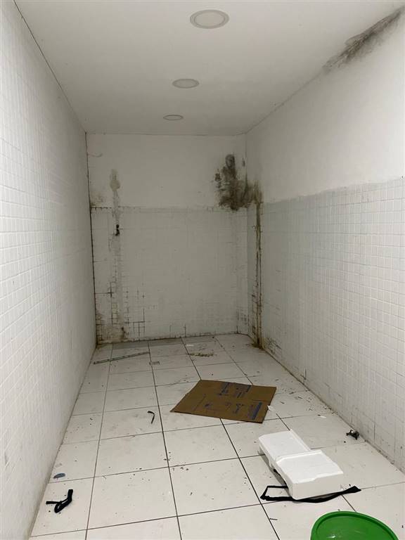 Casa, 3 quartos, 82 m² - Foto 20